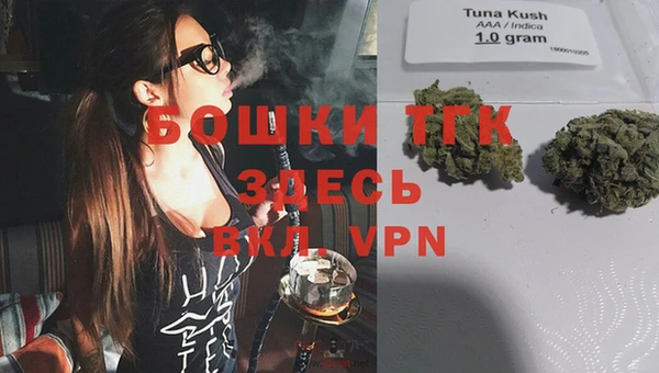 мяу мяу мука Белокуриха