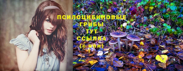 бутират Бугульма