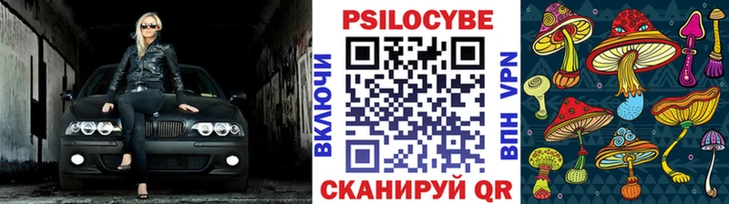 Псилоцибиновые грибы Psilocybine cubensis  Балахна 